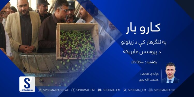 کاروبار خپرونه| ننګرهار کې د زیتونو د پروسس فابریکه