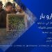 کاروبار خپرونه|  ننګرهار کې د زیتونو د پروسس فابریکه