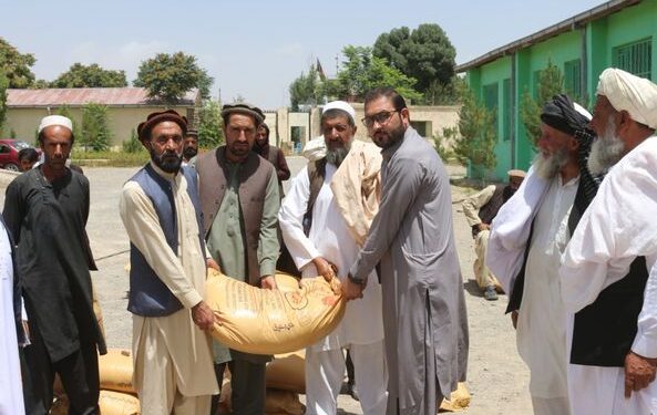 کرنې ریاست: په پکتیا کې پر لسګونو بزرګرانو کېمیاوي سرې ووېشل شوې