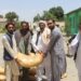 کرنې ریاست: په پکتیا کې پر لسګونو بزرګرانو کېمیاوي سرې ووېشل شوې