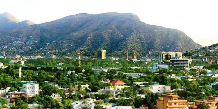 سید محمد طیب آغا: د افغانستان راتلونکی نظام باید مسلکي، مسوول او ټولشموله وي