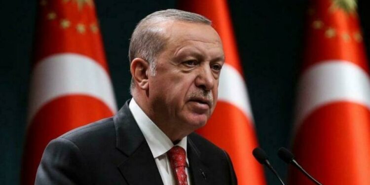 اردوغان : نوې کابینه سرپرسته ده،هر څه په ځير څارو