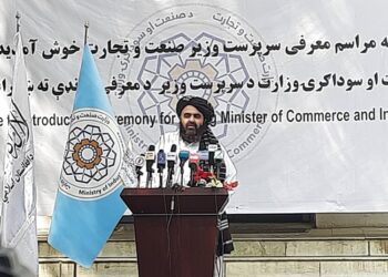 متقي: له نړۍ سره مو اړیکې د پراختیا په حال کې دي