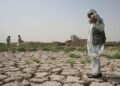 والسټرېټ ژورنال: افغانستان له سختې او بې مخینې وچکالۍ سره مخ دی