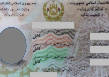 د ا.ا.ا د پخوا؛ په څېر د الکترونیکي پېژند پاڼو ویشلو ته دوام ورکوي