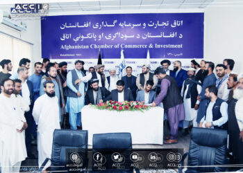 سوداګرۍ خونه: ډېر ژر به چین او بهر ته د هوا له لارې د جلغوزو صادرات پیل شي