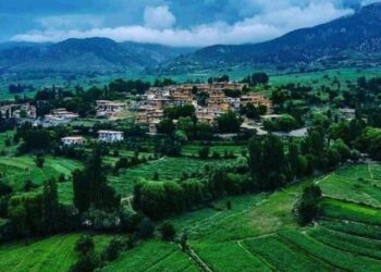 پکتیا کې بزګران: سږکال د وریجو حاصلات څو برابره ډېر شوي