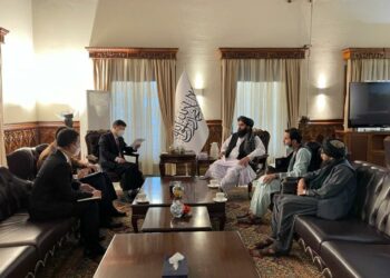 چین:  ژر به له افغانستان څخه د جلغوزیو صادرات پيل کړو