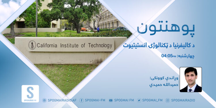 پوهنتون خپرونه | د کالیفرنیا د ټکنالوژۍ انستیتیوت