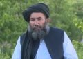 ضعیف: حکومت دې په نړیوالو هوکړو کې له پوره دقت کار واخلي