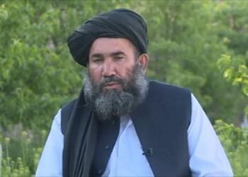 ضعیف: حکومت دې په نړیوالو هوکړو کې له پوره دقت کار واخلي