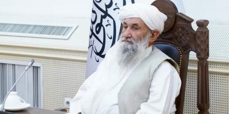 حکومت د ځنګلونو د ساتنې او خوندي کولو امر کړی