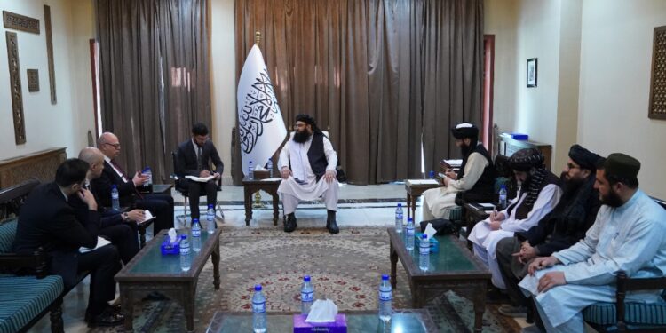 ا.ا له ترکیې په افغانستان کې د پانګونې غوښتنه کړې ده