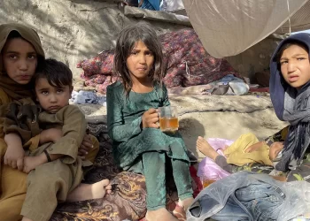 سور صلیب: د شتمنیو کنګل کېدو میلیونونه افغانان اغېزمن کړي دي