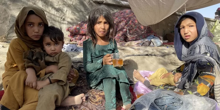 سور صلیب: د شتمنیو کنګل کېدو میلیونونه افغانان اغېزمن کړي دي