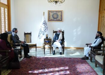 الکساندر متیو: د سره صلیب نړیوالې کمېټې خپلواکي ته باید درناوی وشي