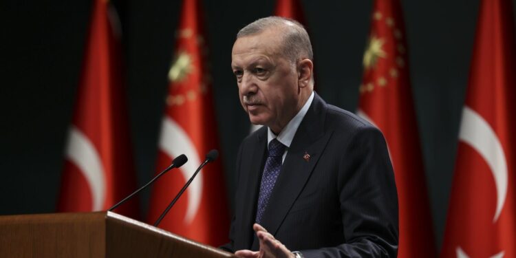 اردوغان: په افغانستان کې سوله او ثبات د اسلامي هېوادونو ګډه هیله ده