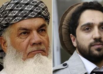 مجاهد د ا.ا له پلاوي سره د اسماعیل خان او مسعود د لیدنې پخلی کړی
