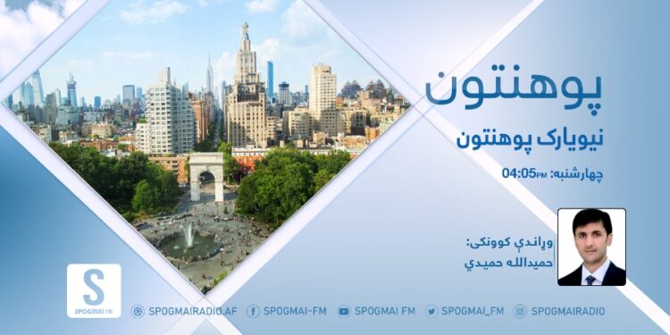 پوهنتون خپرونه | نيويارک پوهنتون