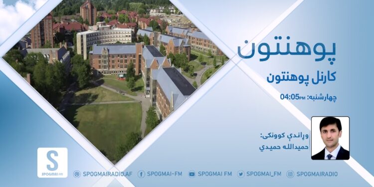 پوهنتون خپرونه | کارنل پوهنتون