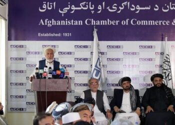 الکوزی: د زیربناو په برخه کې دې عملآ خصوصي سکټور سره مرستې وشي