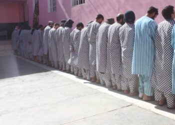هرات؛ د نشه يي توکو د قاچاق او کاروبار په تور ۳۰ کسه نیول شوي