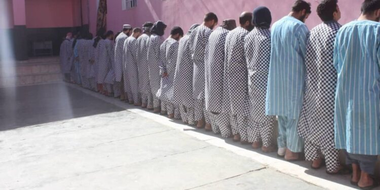هرات؛ د نشه يي توکو د قاچاق او کاروبار په تور ۳۰ کسه نیول شوي
