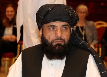 شاهین: د یو اغیزمن او قوي حکومت جوړولو په لټه یو