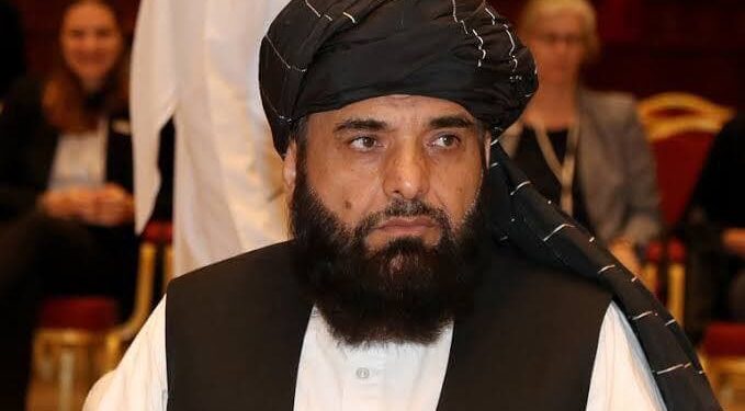 شاهین: د یو اغیزمن او قوي حکومت جوړولو په لټه یو