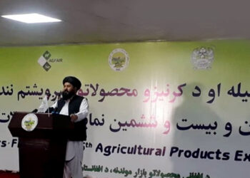 کرنې وزارت: سږ کال په ټول هېواد کې ۲۵ میلیونه نیالګي کېنول شوي دي