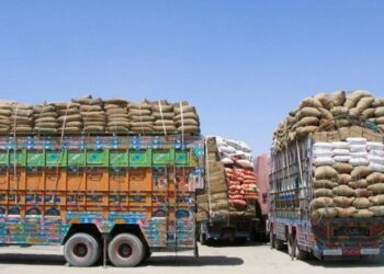 پاکستان: شاوخوا ۳۶۰۰ ټنه غنم افغانستان ته اړول شوي