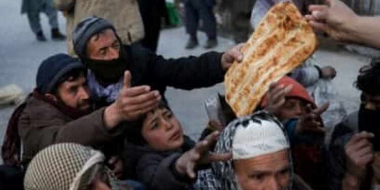 ملګري ملتونه: په افغانستان کې د لوږ کچه زړه بوږنوونکې ده