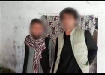 امنیتي چارواکي: په سالنګ کې د وارداتي برېښنا د ستنو تخريبوونکي نيول شوي