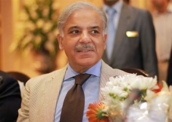 شهباز شریف:  له هند سره د ټولو جنجالي مسائلو سوله ییز حل غواړو