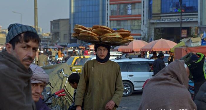 ویلسن: د نړۍ بې پامي او بشري ناورین دواړه د اندېښنې وړ دي