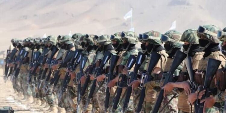 ملا یعقوب: نوې ملي اردو کې تر اوسه ۱۱۰ زره سرتېري جذب شوي
