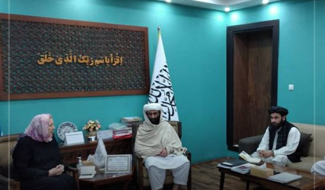 ایوان ریډلي: د افغانستان د پوهنې له برخې سره مرستې ته تیار یو