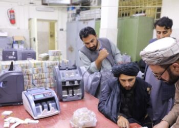 ديپلومات: افغانستان د مالي منابعو مدیریت کې همکارۍ ته اړتیا لري