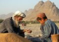 له افغانستانه بهر ته د غنمو پر صادراتو بندیز ولګېد