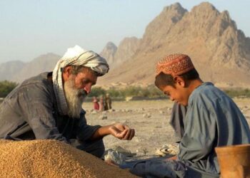 له افغانستانه بهر ته د غنمو پر صادراتو بندیز ولګېد