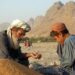 له افغانستانه بهر ته د غنمو پر صادراتو بندیز ولګېد