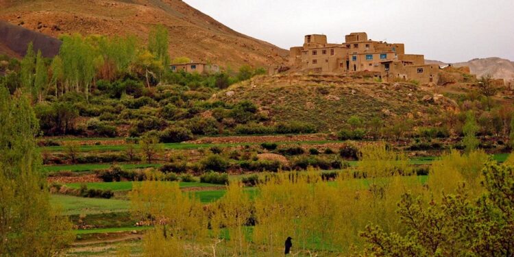 سیمه ییز چارواکي: غزني ته د سیلانیانو راتګ ډېر شوی دی