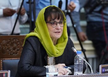 دیبورا لاینز: د نوي سرپرست حکومت سره به هېوادونه همکارۍ ته راوبولم