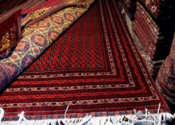 افغان غالۍ؛ بهر ته یې په صادراتو کې ډېروالی راغلی دی