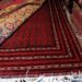 افغان غالۍ؛ بهر ته یې په صادراتو کې ډېروالی راغلی دی