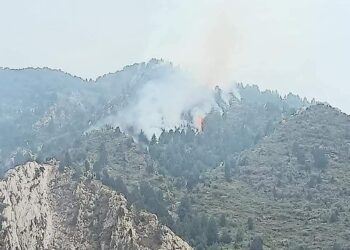د خوست ځنګلونو کې مړ شوی اور بیا بل شوی دی