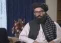 انس حقاني: ا.ا ملامت نه دی بې کاري د اشغال میراث دی