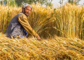 افغانستان کې باید پر کرنیز سیستم پانګونه ډېره شي