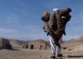 م.م: کډوالۍ او وچکالۍ بشري ناورین پراخ کړی دی