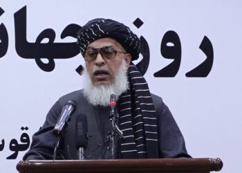 ستانکزی: زده کړې د نارينه او ښځينه وو شرعي حق دی
